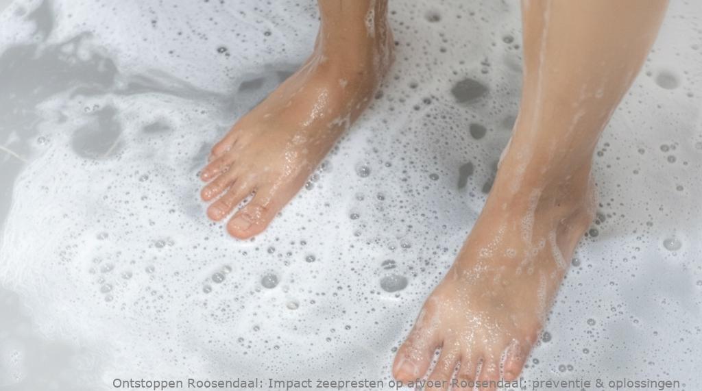 Impact zeepresten op afvoer Roosendaal: preventie & oplossingen