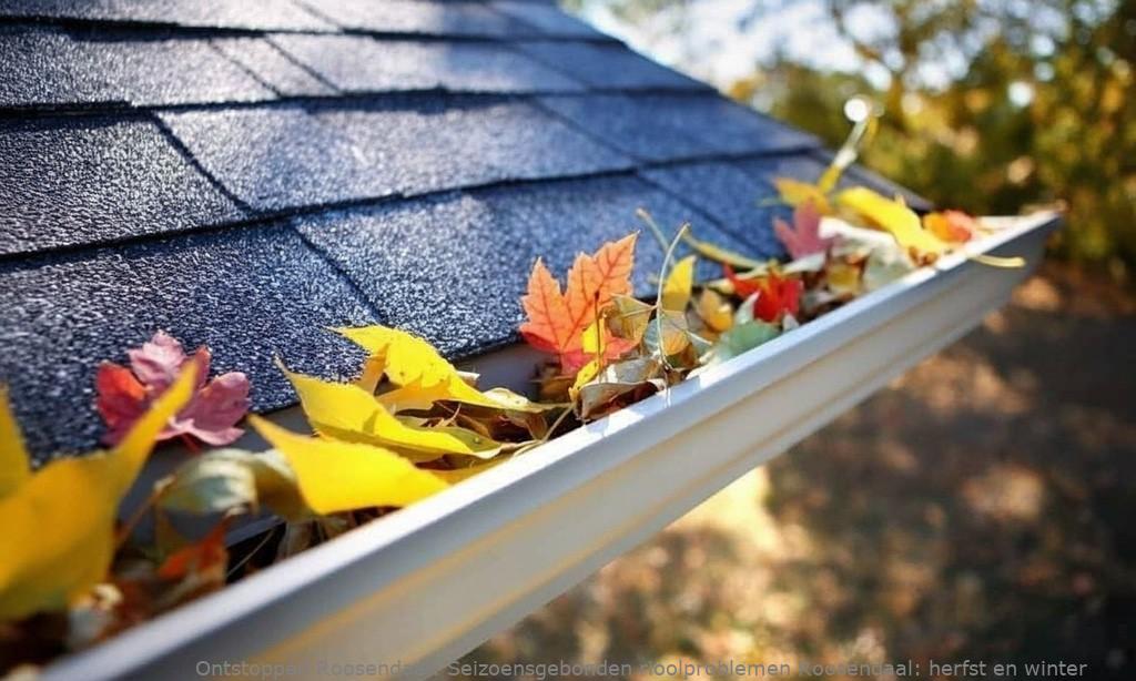 Seizoensgebonden rioolproblemen Roosendaal: herfst en winter