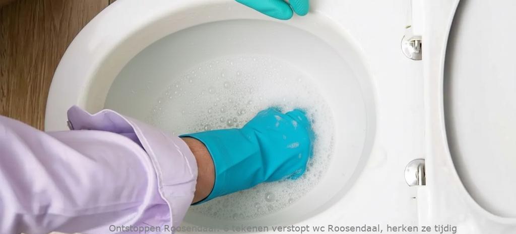 6 tekenen verstopt wc Roosendaal, herken ze tijdig