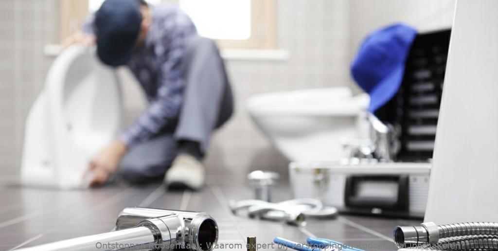 Waarom expert bij verstoppingen Roosendaal inschakelen?