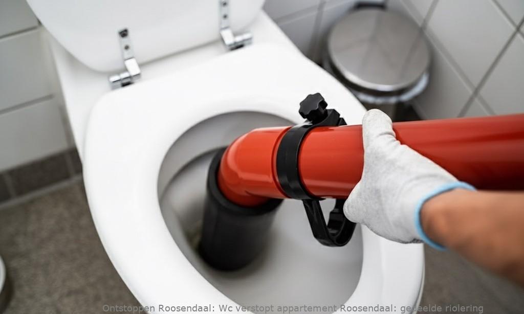 Wc verstopt appartement Roosendaal: gedeelde riolering